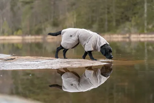 Bilde av Non-stop dogwear Drying coat  Sand
